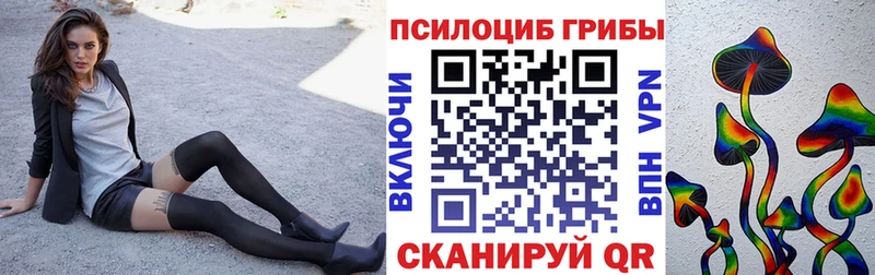 Псилоцибиновые грибы GOLDEN TEACHER  Купить закладки  Арск 